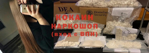 гашик Инта