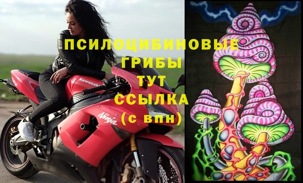 MDMA Инсар