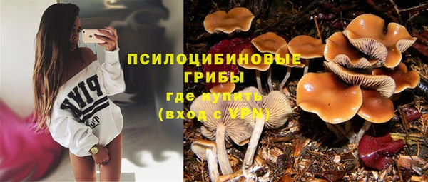 a pvp Зерноград