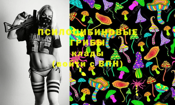 ГАЛЛЮЦИНОГЕННЫЕ ГРИБЫ Зеленодольск