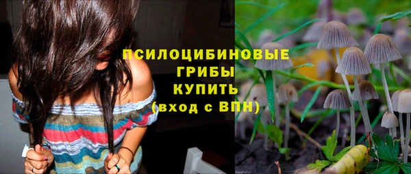 MDMA Инсар