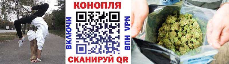 Купить где  Миньяр  Канабис план 